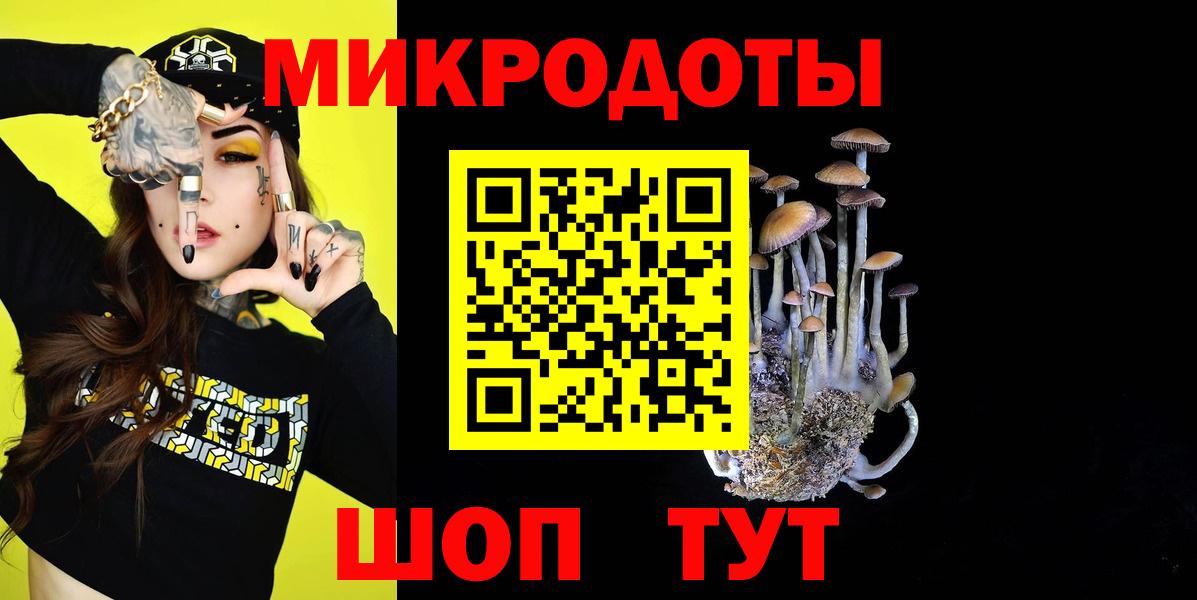 Галлюциногенные грибы Psilocybine cubensis  Вход с VPN  где найти наркотики  Холмск 